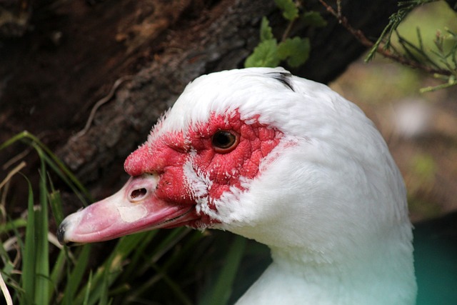 绝杀阿森纳＋斩获联赛5连胜＋跃居积分榜第2位＋各项赛事7连胜！