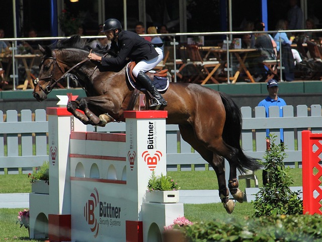 TA：切尔西不会重新追求迈尼昂；罗德里戈不符合蓝军引援需求