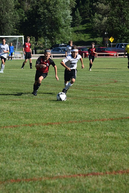 伊卡尔迪在 伊卡尔迪在