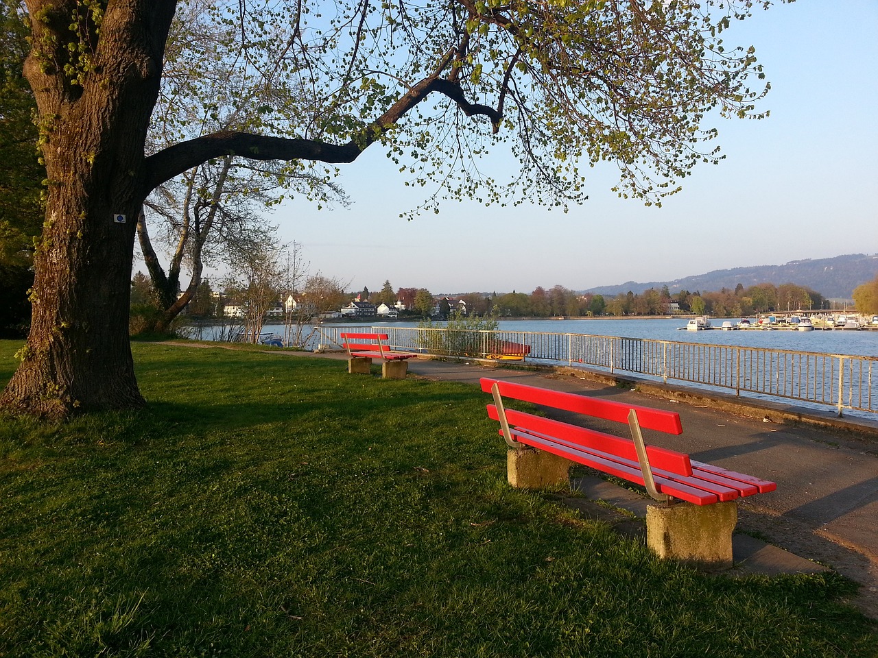 家进行了深 家进行了深