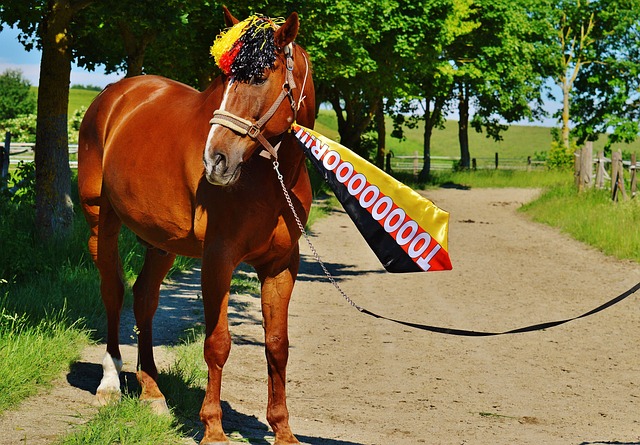 球合约中越 球合约中越