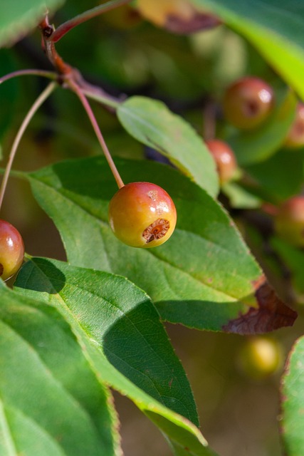 是一个个性 是一个个性