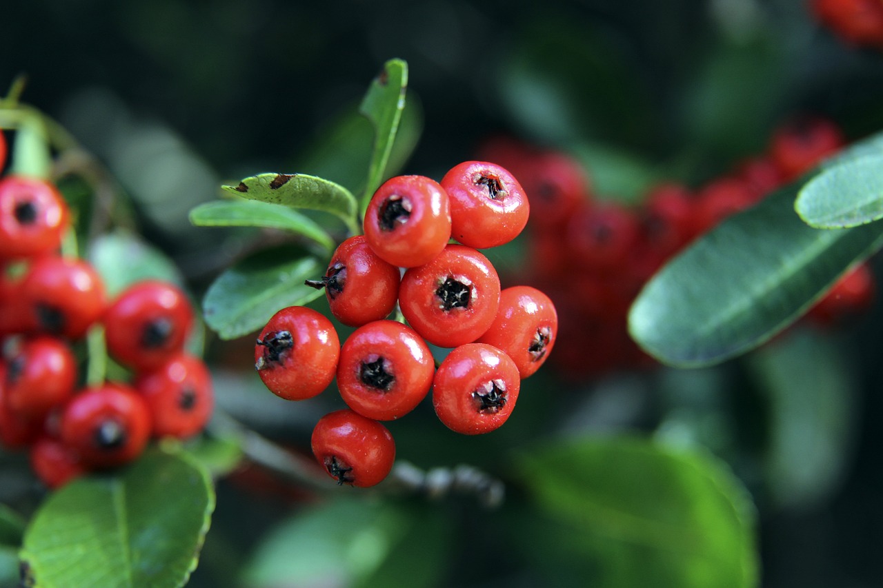 竞技状态 竞技状态