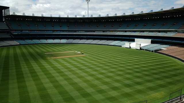 公开表态支 公开表态支